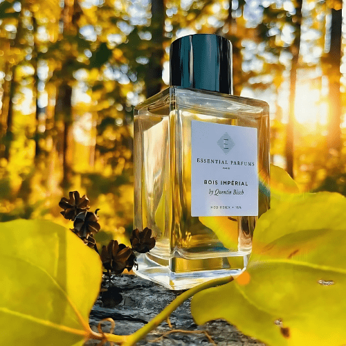 Bois Impérial: la elegancia que para cada día