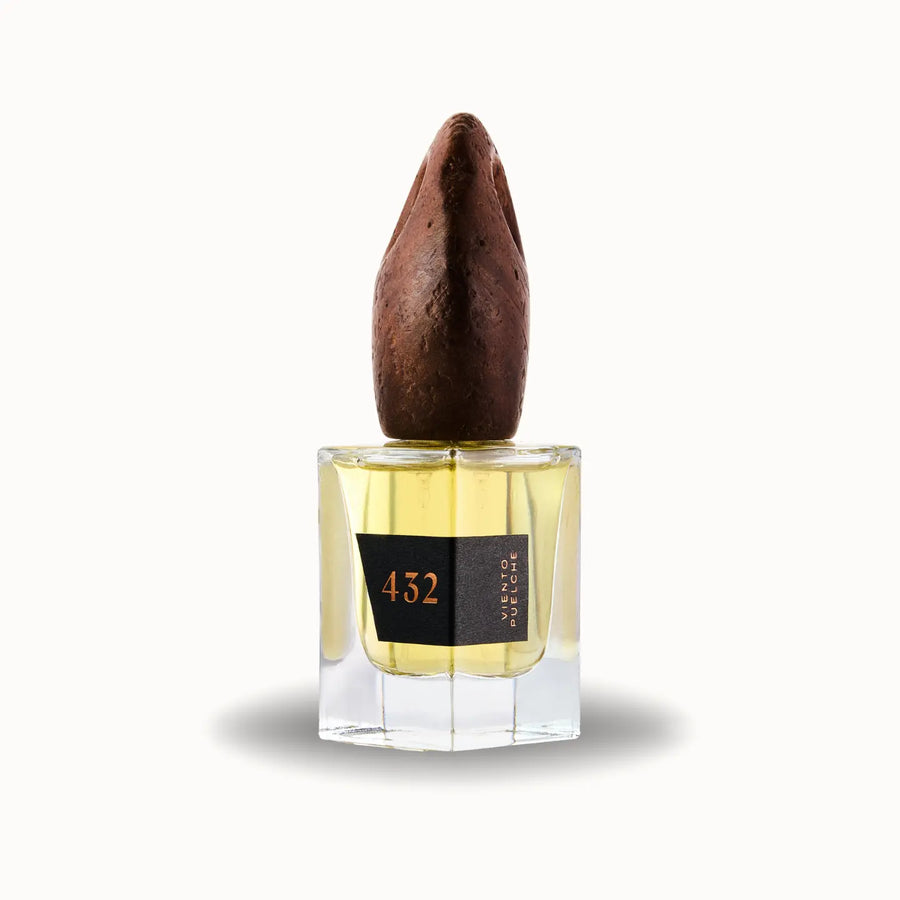 Perfume Viento Puelche 30ml