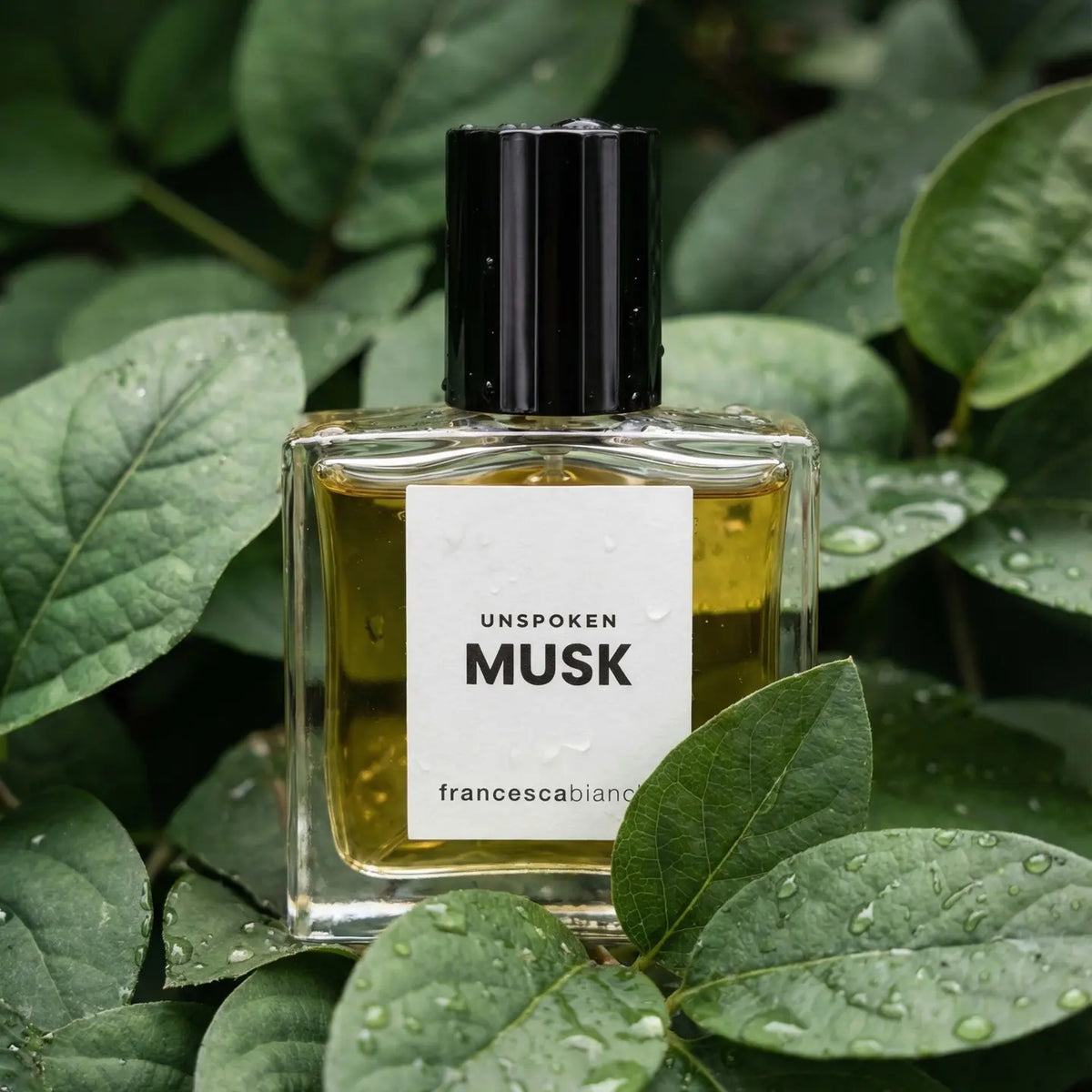 Unspoken Musk