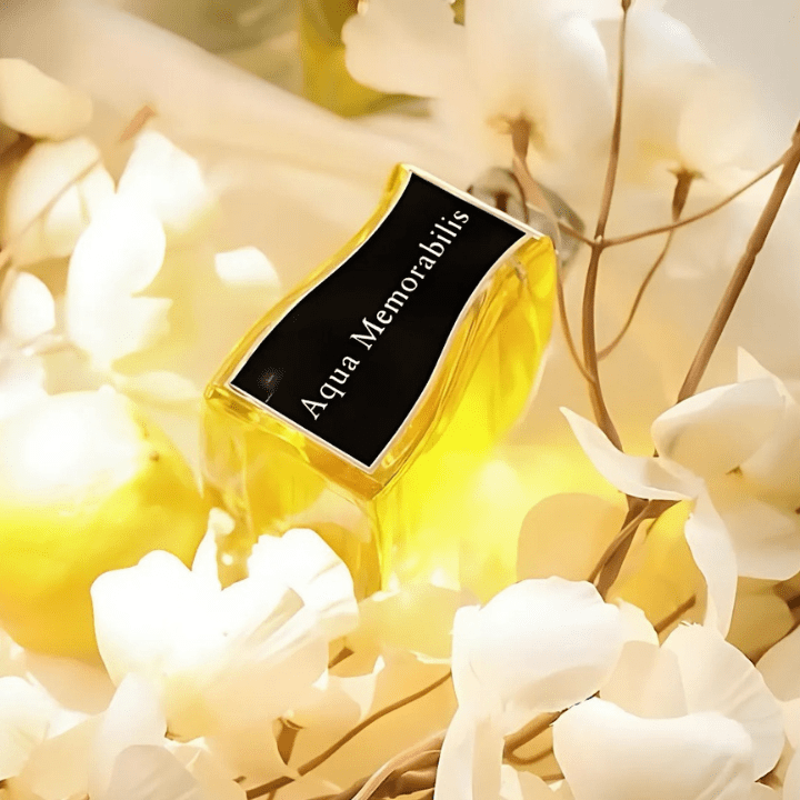 Perfume Aqua Memorabilis 100ml