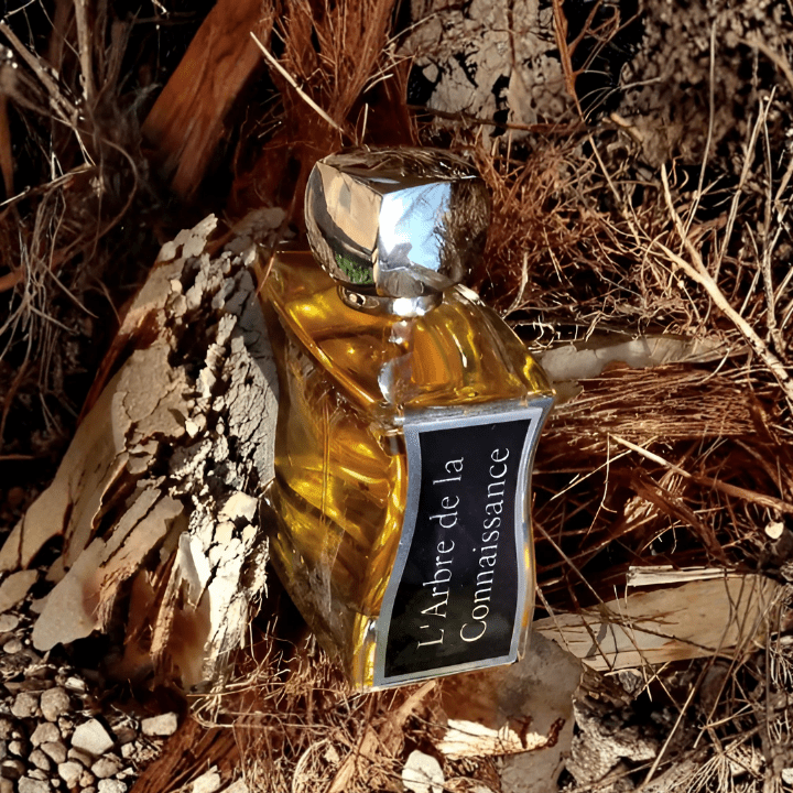 Perfume Larbre de la connaissance 100ml