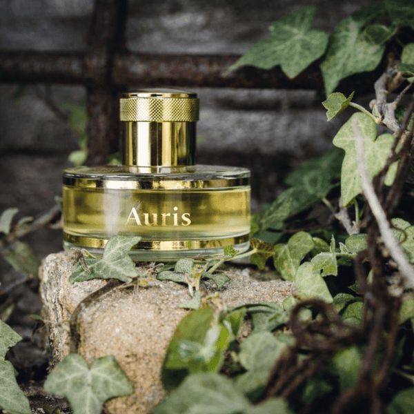 Perfume Auris 50ml