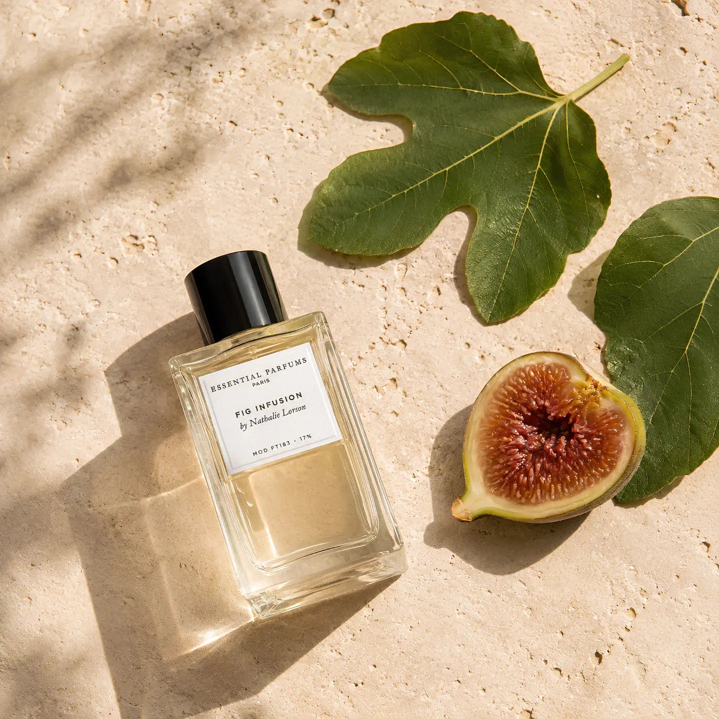 Fig Infusion