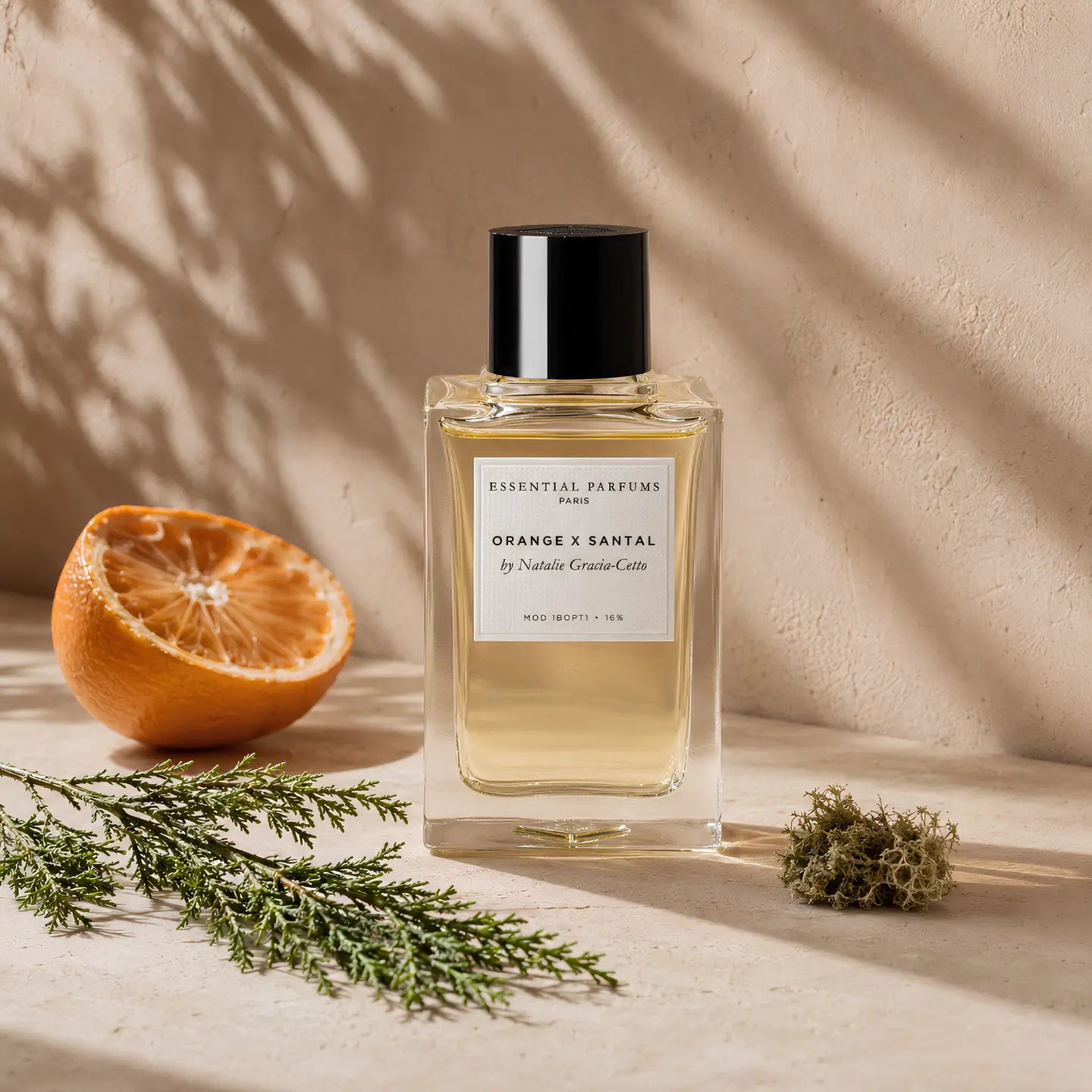 Orange x Santal