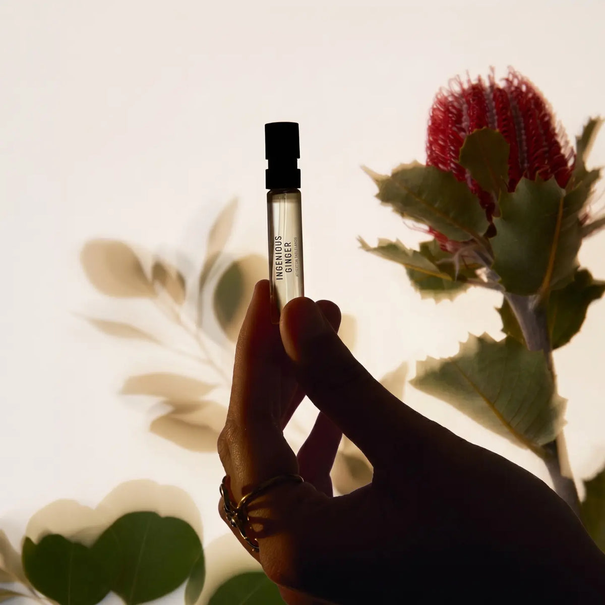Discovery sample Collection 10x2ml