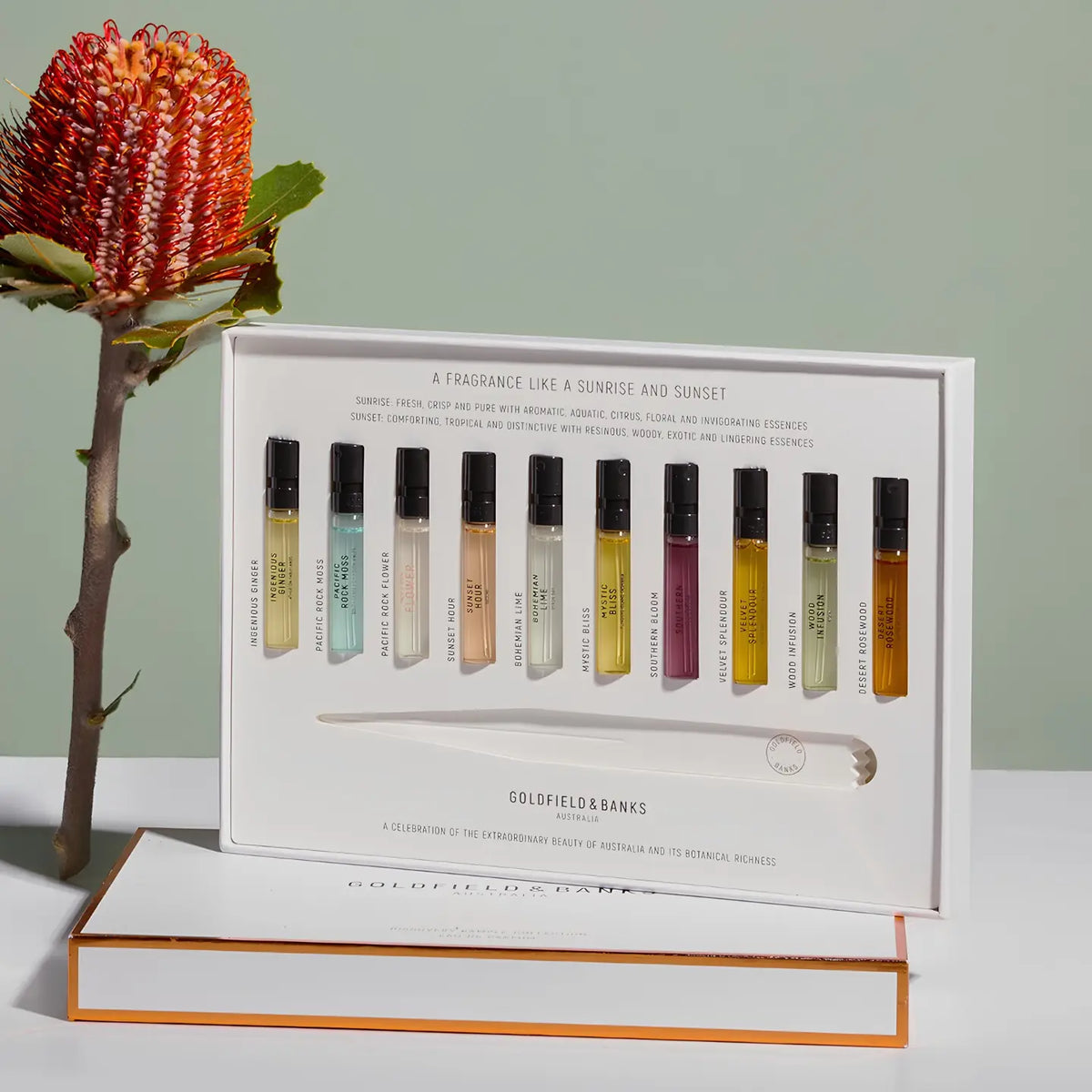 Discovery sample Collection 10x2ml
