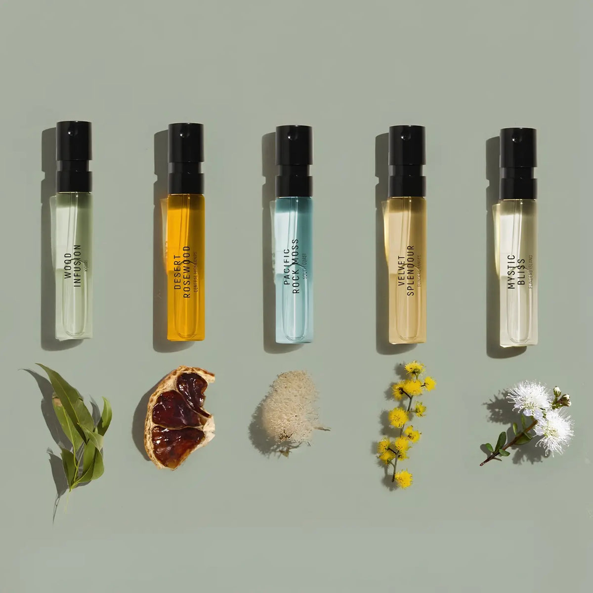 Discovery sample Collection 10x2ml